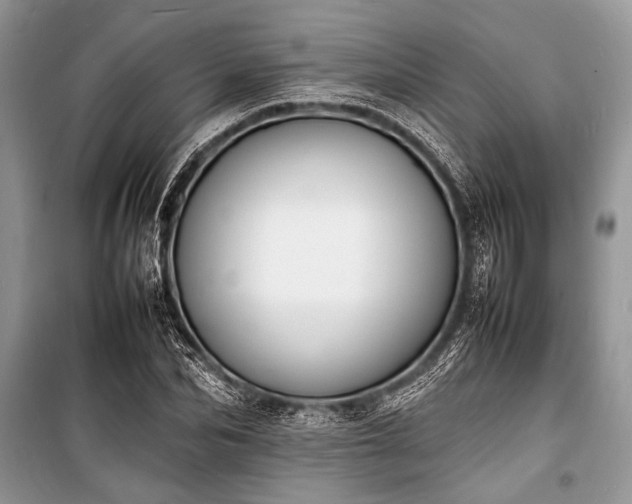 X0000100980974200806241539