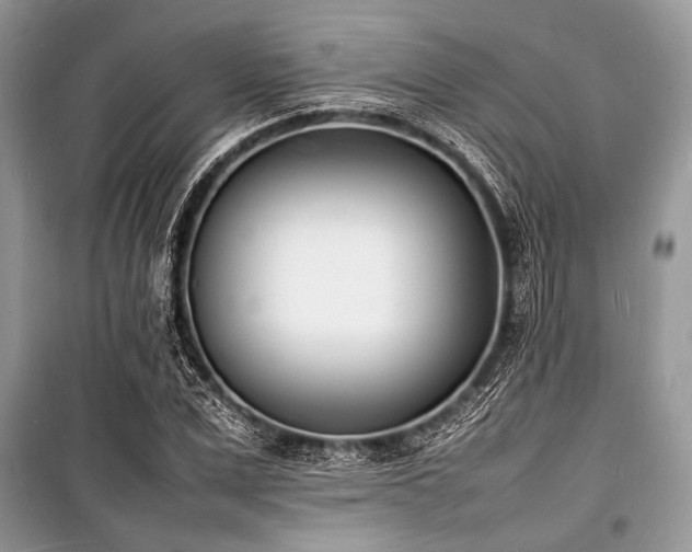 X0000100980975200806241539
