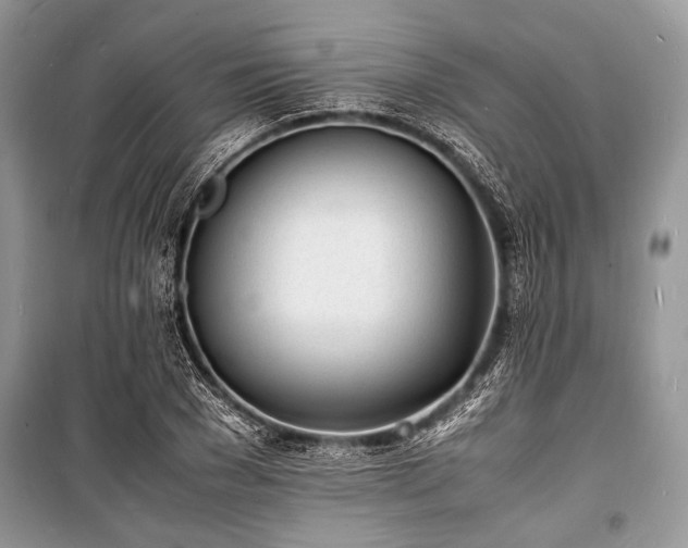 X0000100980977200806241539
