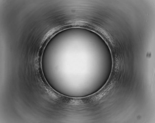 X0000100980978200806241539