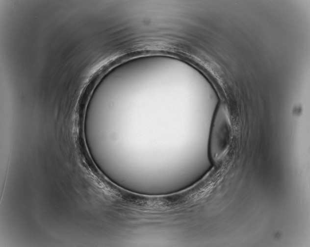 X0000100980979200806241539
