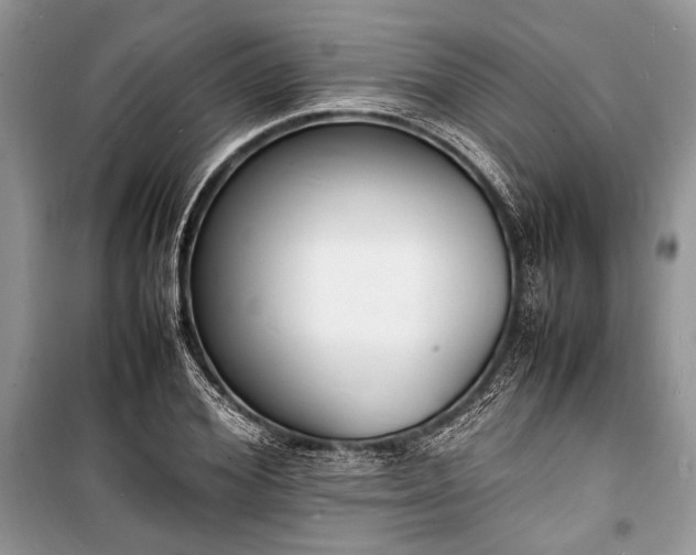 X0000100980980200806241539