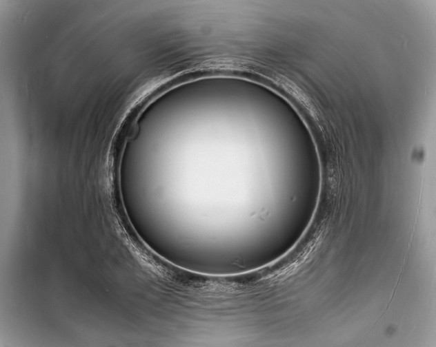 X0000100980981200806241539