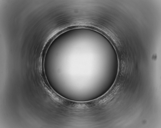 X0000100980982200806241539