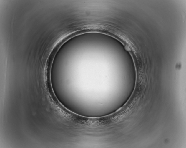X0000100980983200806241539