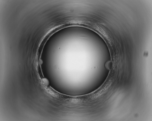 X0000100980984200806241539