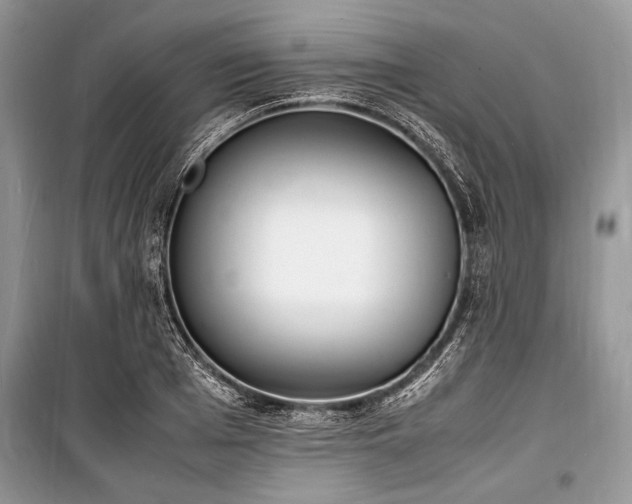 X0000100980985200806241539