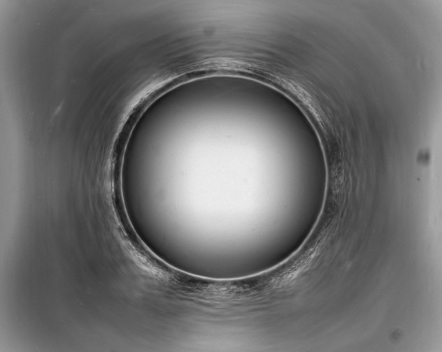 X0000100980987200806241539