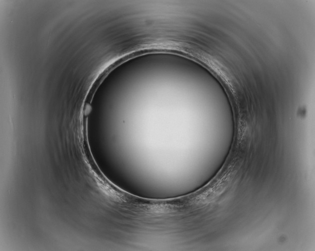 X0000100980988200806241539