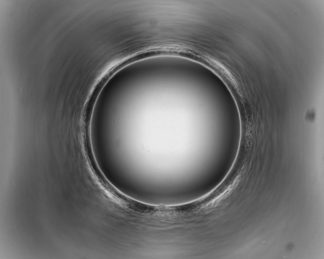 X0000100980989200806241539