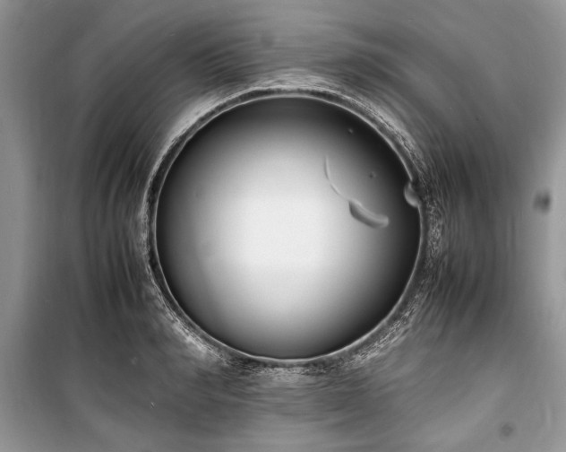 X0000100980990200806241538