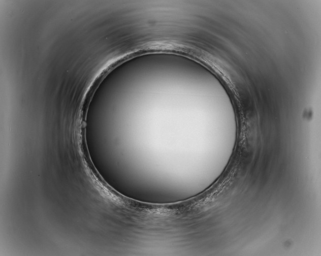 X0000100980992200806241538