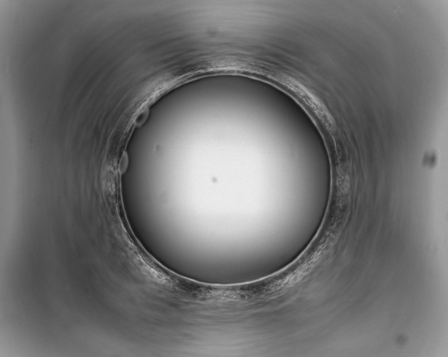 X0000100980993200806241538
