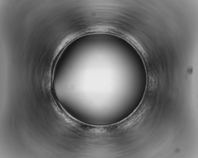X0000100980994200806241538