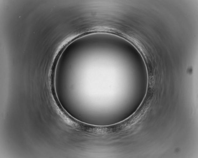 X0000100980995200806241538