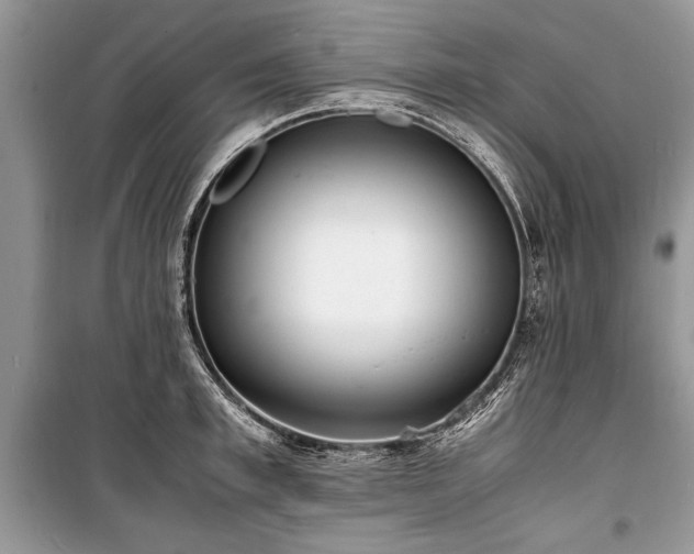 X0000100980997200806241538