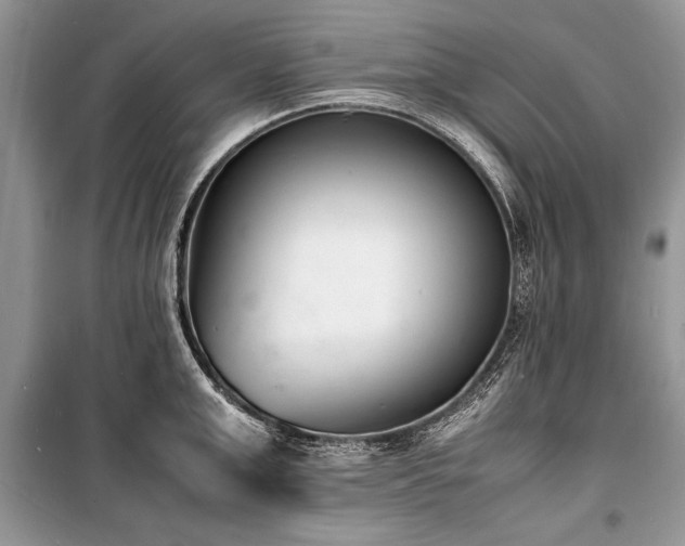 X0000100980999200806241538