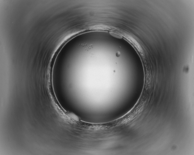 X0000100981000200806241538
