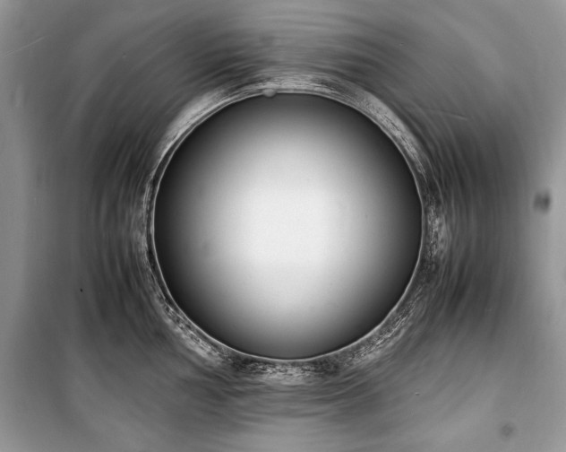 X0000100981002200806241538
