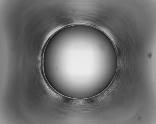 X0000100981003200806241538