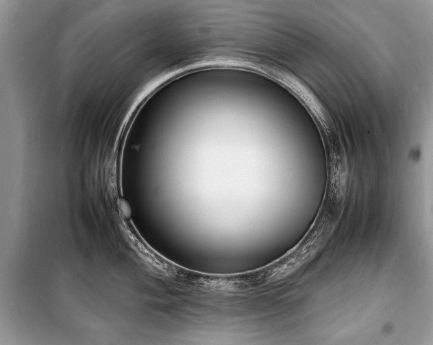 X0000100981004200806241538