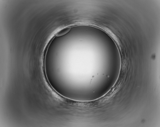 X0000100981005200806241538