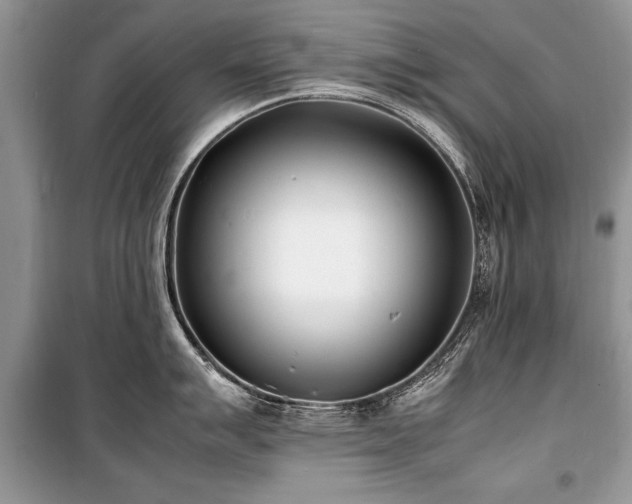 X0000100981007200806241538