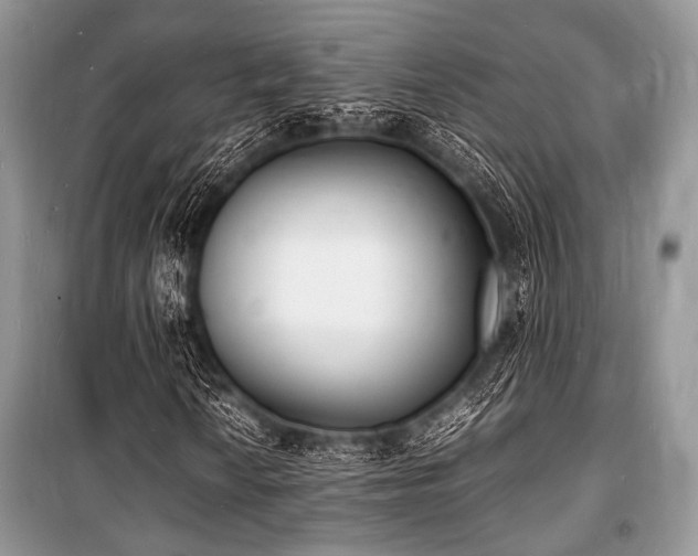 X0000100981010200806241537