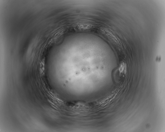 X0000100981011200806241537
