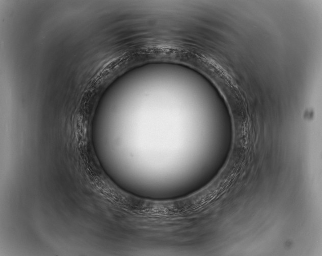 X0000100981013200806241537