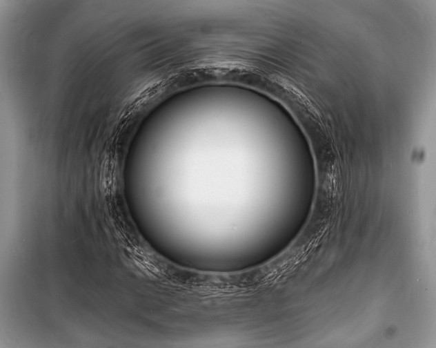 X0000100981014200806241537
