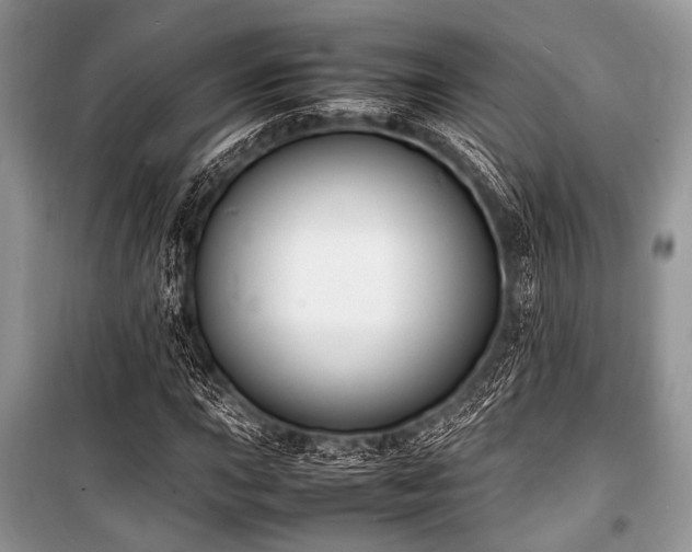 X0000100981015200806241537