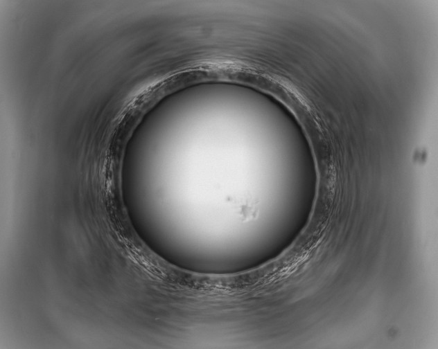 X0000100981016200806241538