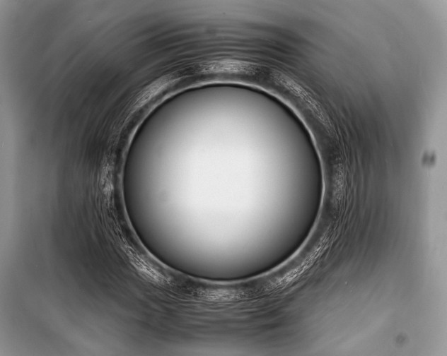 X0000100981017200806241538