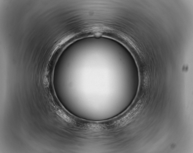 X0000100981018200806241538
