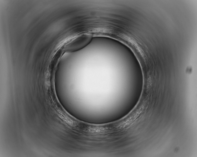 X0000100981019200806241538