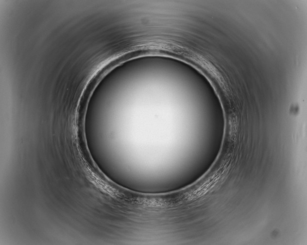 X0000100981020200806241538