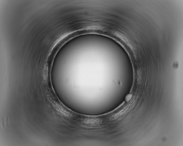X0000100981021200806241538