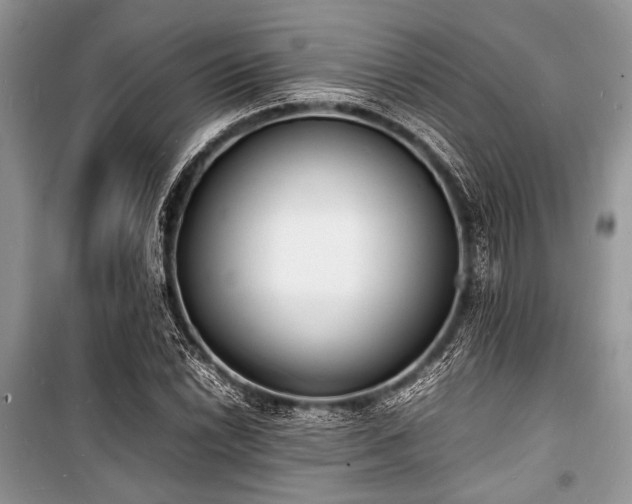 X0000100981022200806241538