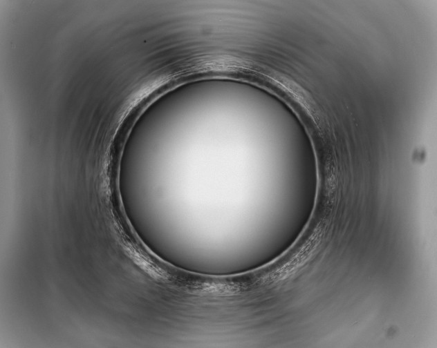 X0000100981026200806241538