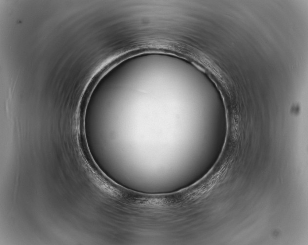 X0000100981028200806241538
