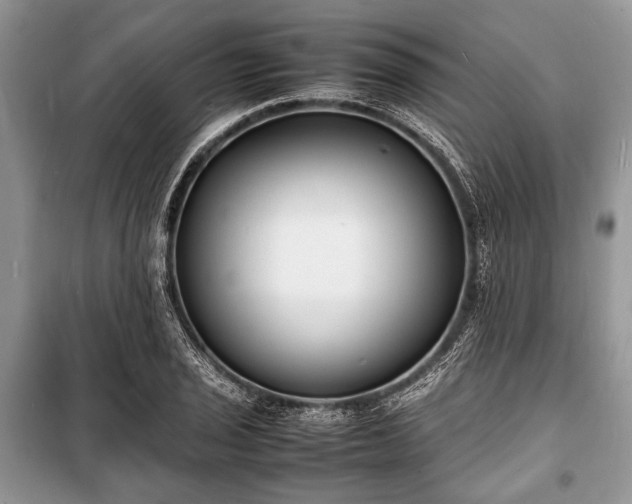 X0000100981029200806241538