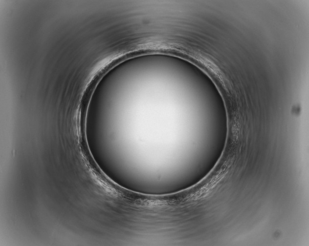 X0000100981030200806241538
