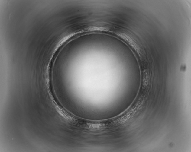 X0000100981031200806241538