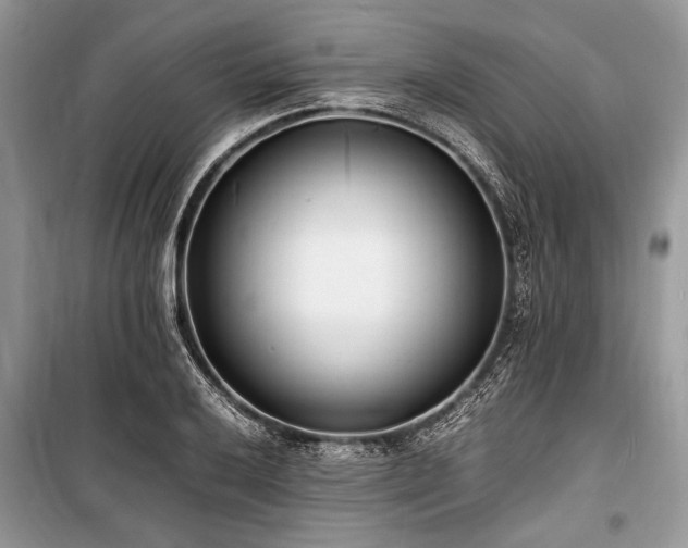 X0000100981032200806241538
