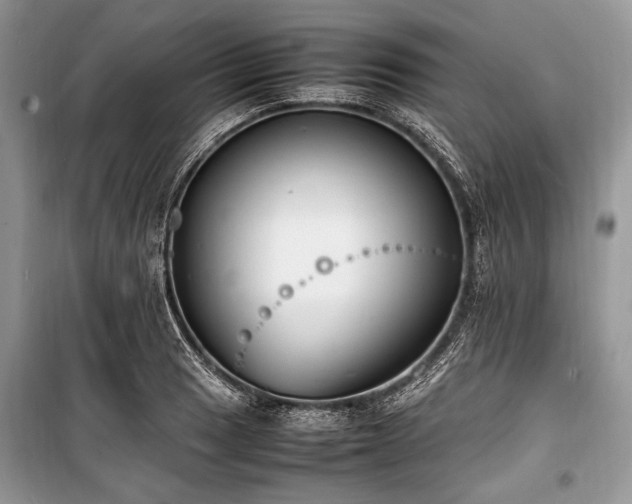 X0000100981033200806241538