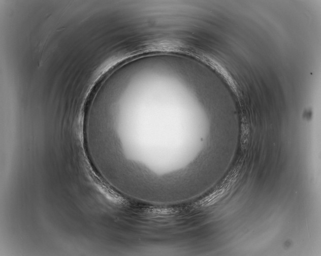 X0000100981035200806241538