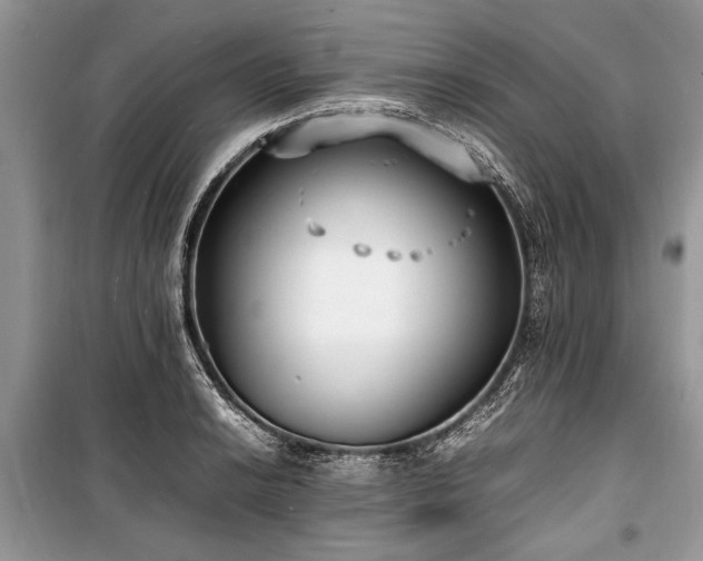 X0000100981038200806241538