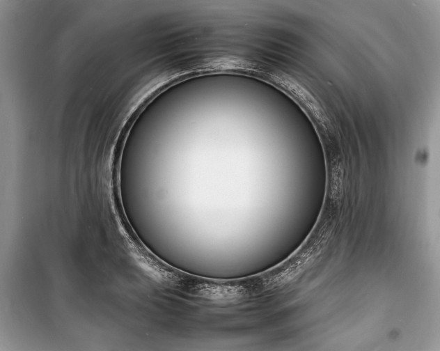 X0000100981039200806241538