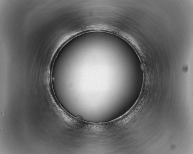 X0000100981040200806241538